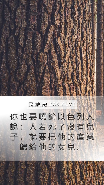 民 數 記 27:8 CUVT Mobile Phone Wallpaper - 你 也 要 曉 諭 以 色 列 人 說 ： 人 - Mobile Bible Verse Wallpaper