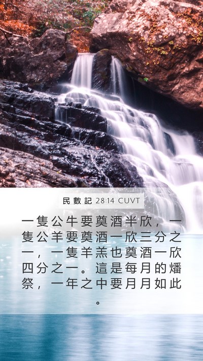 民 數 記 28:14 CUVT Bible Verse Image