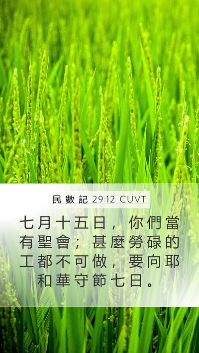 民 數 記 29:12 CUVT Bible Verse Image
