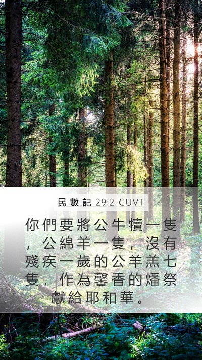 民 數 記 29:2 CUVT Bible Verse Image