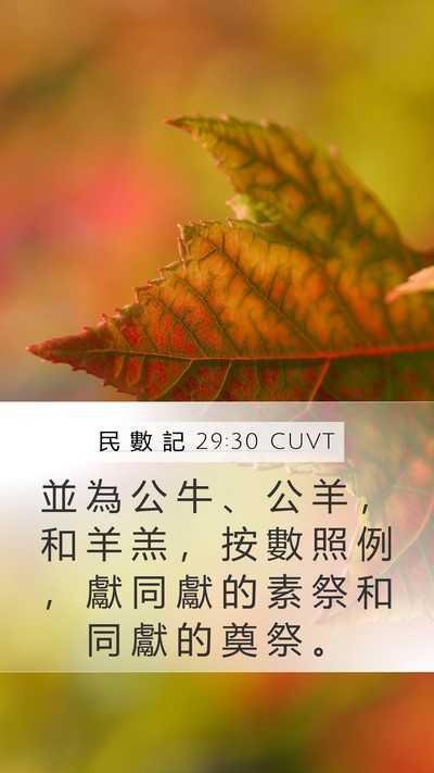 民 數 記 29:30 CUVT Mobile Phone Wallpaper - 並 為 公 牛 、 公 羊 ， 和 羊 羔 ， - Mobile Bible Verse Wallpaper