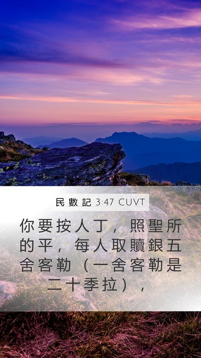 民 數 記 3:47 CUVT Mobile Phone Wallpaper - 你 要 按 人 丁 ， 照 聖 所 的 平 ， - Mobile Bible Verse Wallpaper