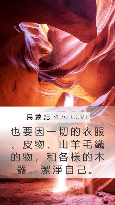 民 數 記 31:20 CUVT Bible Verse Image