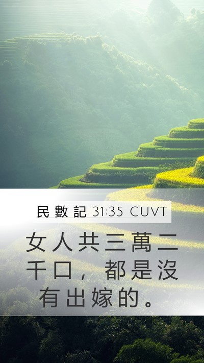 民 數 記 31:35 CUVT Mobile Phone Wallpaper - 女 人 共 三 萬 二 千 口 ， 都 是 沒 - Mobile Bible Verse Wallpaper