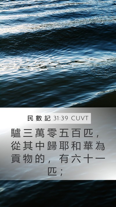 民 數 記 31:39 CUVT Mobile Phone Wallpaper - 驢 三 萬 零 五 百 匹 ， 從 其 中 歸 - Mobile Bible Verse Wallpaper