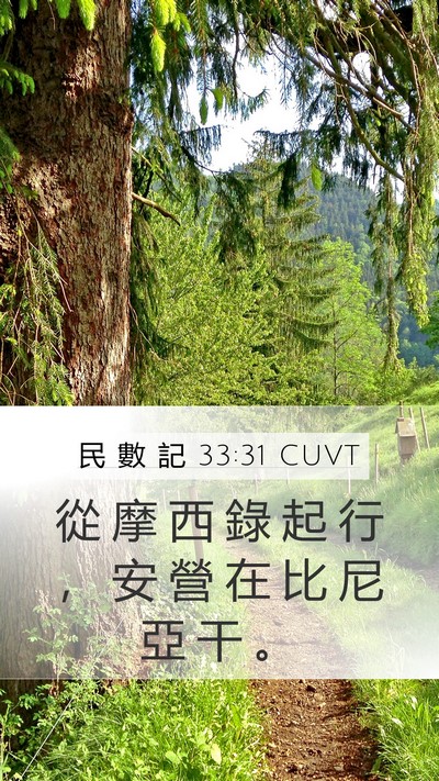 民 數 記 33:31 CUVT Mobile Phone Wallpaper - 從 摩 西 錄 起 行 ， 安 營 在 比 尼 - Mobile Bible Verse Wallpaper