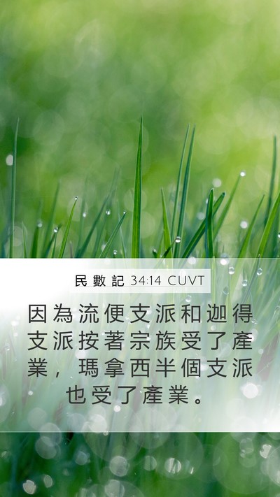 民 數 記 34:14 CUVT Mobile Phone Wallpaper - 因 為 流 便 支 派 和 迦 得 支 派 按 - Mobile Bible Verse Wallpaper
