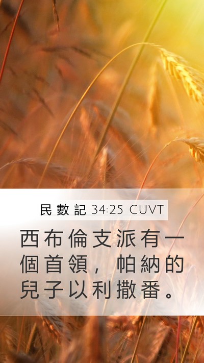 民 數 記 34:25 CUVT Mobile Phone Wallpaper - 西 布 倫 支 派 有 一 個 首 領 ， 帕 - Mobile Bible Verse Wallpaper