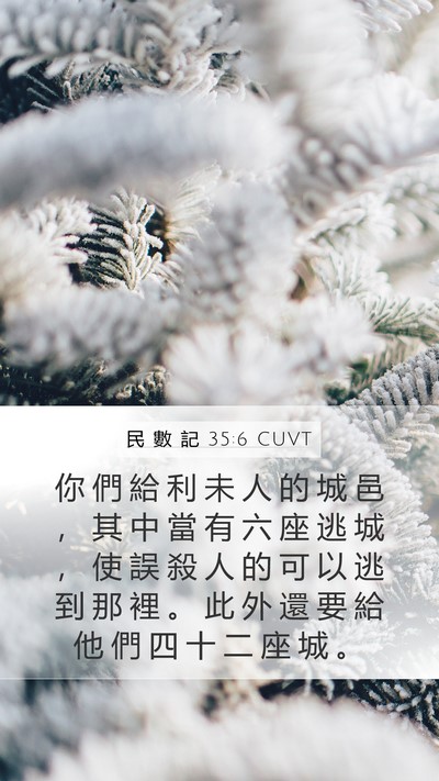 民 數 記 35:6 CUVT Bible Verse Image