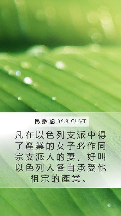民 數 記 36:8 CUVT Mobile Phone Wallpaper - 凡 在 以 色 列 支 派 中 得 了 產 業 - Mobile Bible Verse Wallpaper