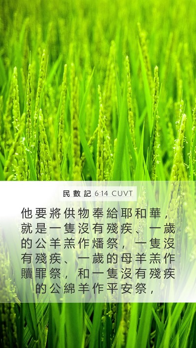 民 數 記 6:14 CUVT Bible Verse Image