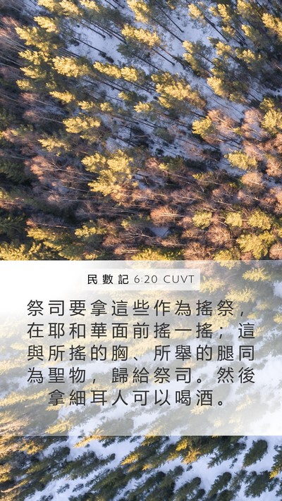 民 數 記 6:20 CUVT Bible Verse Image