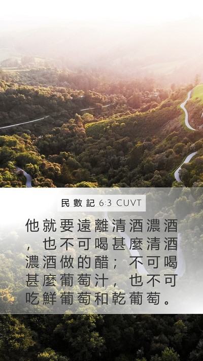 民 數 記 6:3 CUVT Mobile Phone Wallpaper - 他 就 要 遠 離 清 酒 濃 酒 ， 也 不 - Mobile Bible Verse Wallpaper