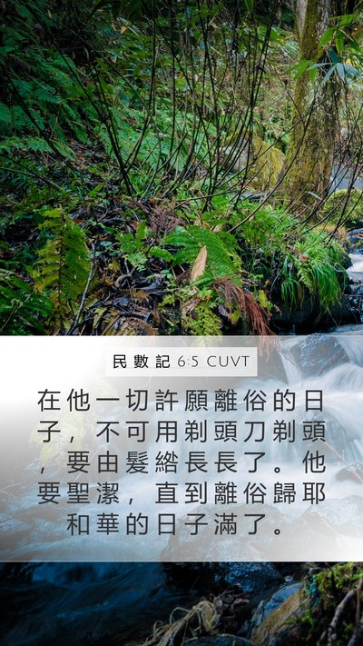 民 數 記 6:5 CUVT Bible Verse Image