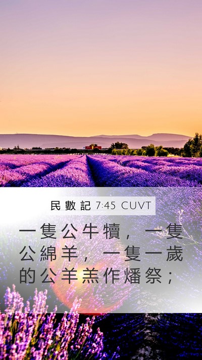 民 數 記 7:45 CUVT Mobile Phone Wallpaper - 一 隻 公 牛 犢 ， 一 隻 公 綿 羊 ， - Mobile Bible Verse Wallpaper