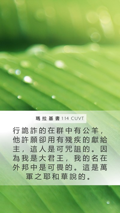 瑪 拉 基 書 1:14 CUVT Bible Verse Image