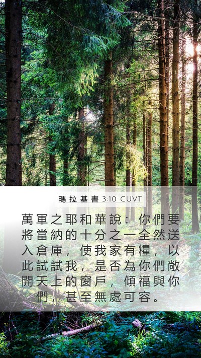 瑪 拉 基 書 3:10 CUVT Bible Verse Image