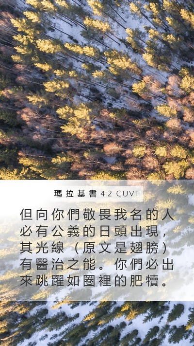 瑪 拉 基 書 4:2 CUVT Bible Verse Image