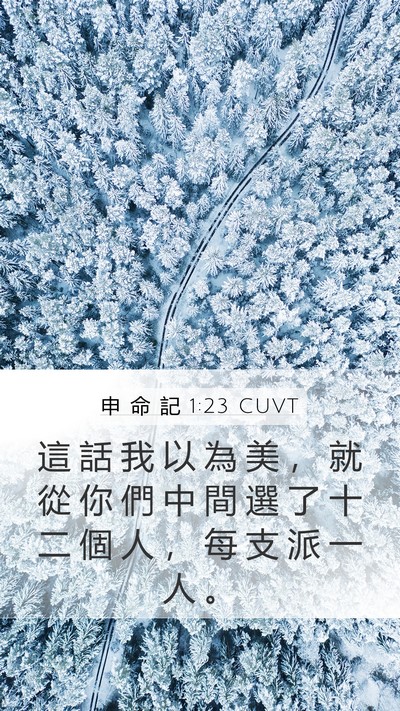 申 命 記 1:23 CUVT Bible Verse Image