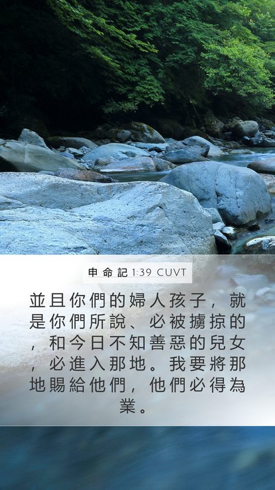 申 命 記 1:39 CUVT Bible Verse Image