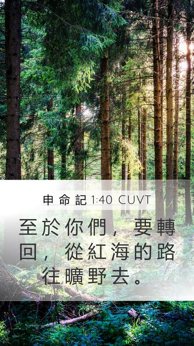 申 命 記 1:40 CUVT Bible Verse Image