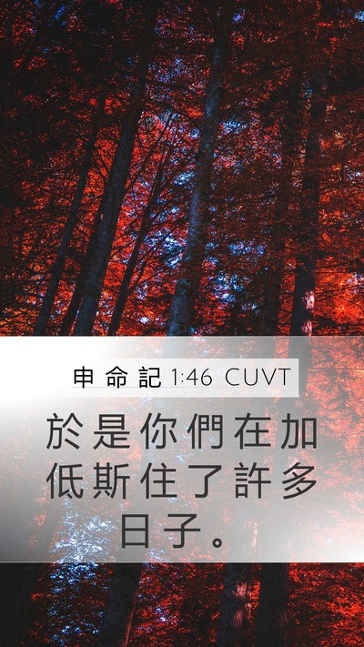 申 命 記 1:46 CUVT Bible Verse Image