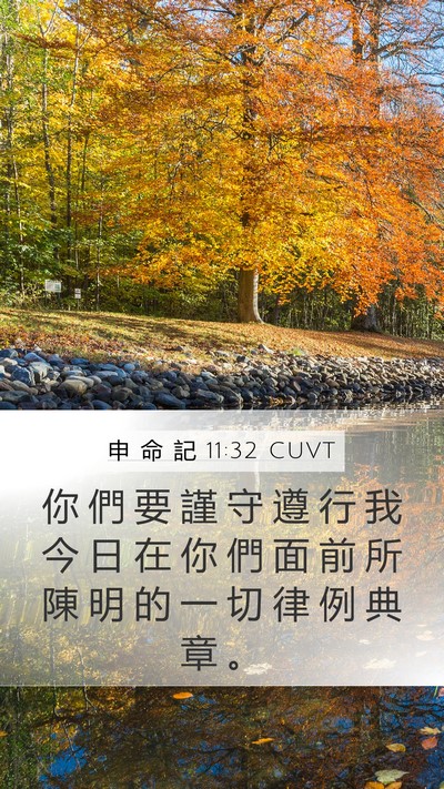 申 命 記 11:32 CUVT Bible Verse Image