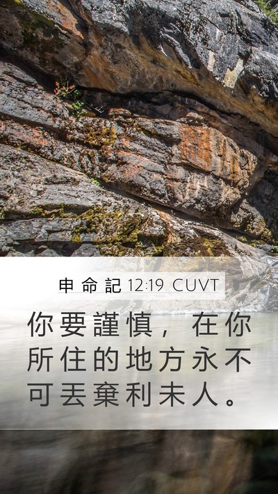 申 命 記 12:19 CUVT Mobile Phone Wallpaper - 你 要 謹 慎 ， 在 你 所 住 的 地 方 - Mobile Bible Verse Wallpaper