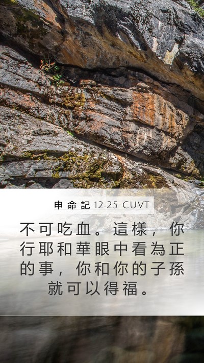 申 命 記 12:25 CUVT Bible Verse Image