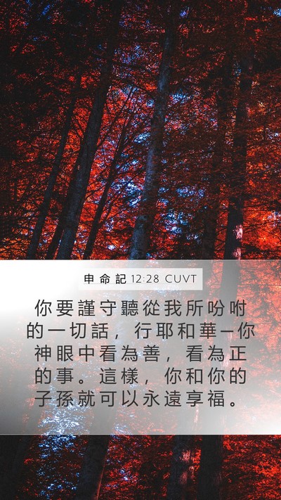 申 命 記 12:28 CUVT Mobile Phone Wallpaper - 你 要 謹 守 聽 從 我 所 吩 咐 的 一 - Mobile Bible Verse Wallpaper
