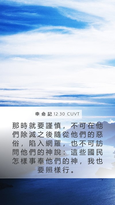申 命 記 12:30 CUVT Mobile Phone Wallpaper - 那 時 就 要 謹 慎 ， 不 可 在 他 們 - Mobile Bible Verse Wallpaper