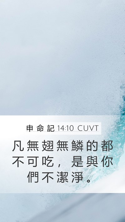 申 命 記 14:10 CUVT Mobile Phone Wallpaper - 凡 無 翅 無 鱗 的 都 不 可 吃 ， 是 - Mobile Bible Verse Wallpaper