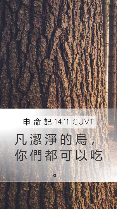 申 命 記 14:11 CUVT Mobile Phone Wallpaper - 凡 潔 淨 的 鳥 ， 你 們 都 可 以 吃 - Mobile Bible Verse Wallpaper