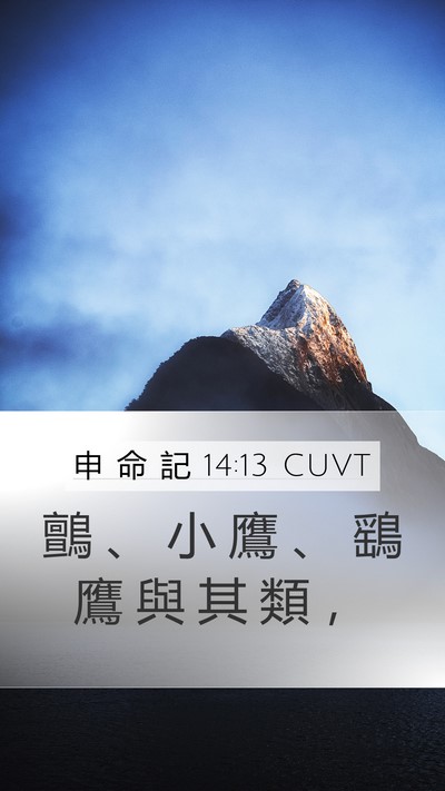 申 命 記 14:13 CUVT Bible Verse Image