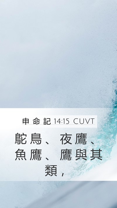 申 命 記 14:15 CUVT Mobile Phone Wallpaper - 鴕 鳥 、 夜 鷹 、 魚 鷹 、 鷹 與 其 - Mobile Bible Verse Wallpaper