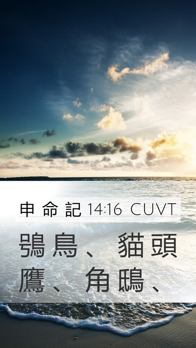 申 命 記 14:16 CUVT Mobile Phone Wallpaper - 鴞 鳥 、 貓 頭 鷹 、 角 鴟 - Mobile Bible Verse Wallpaper