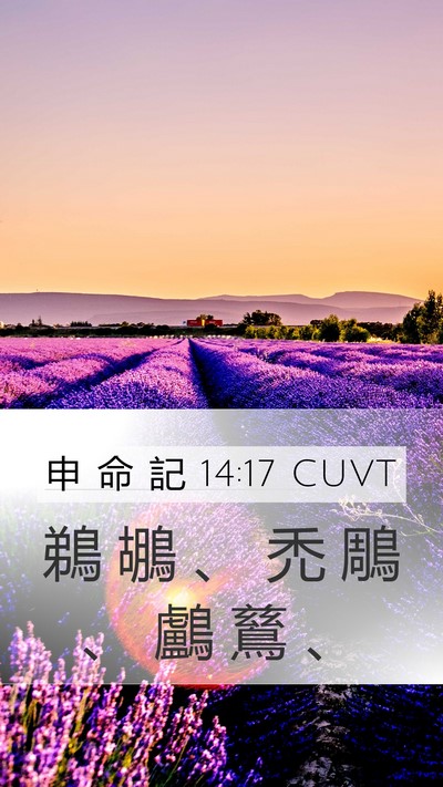 申 命 記 14:17 CUVT Mobile Phone Wallpaper - 鵜 鶘 、 禿 鵰 、 鸕 鶿 - Mobile Bible Verse Wallpaper