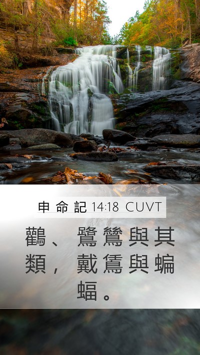 申 命 記 14:18 CUVT Mobile Phone Wallpaper - 鸛 、 鷺 鷥 與 其 類 ， 戴 鵀 與 蝙 - Mobile Bible Verse Wallpaper