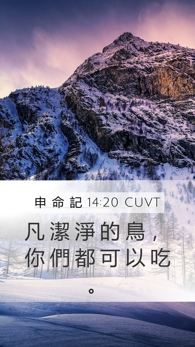 申 命 記 14:20 CUVT Mobile Phone Wallpaper - 凡 潔 淨 的 鳥 ， 你 們 都 可 以 吃 - Mobile Bible Verse Wallpaper