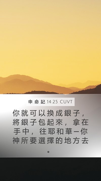 申 命 記 14:25 CUVT Bible Verse Image