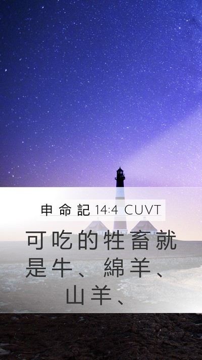 申 命 記 14:4 CUVT Mobile Phone Wallpaper - 可 吃 的 牲 畜 就 是 牛 、 綿 羊 、 - Mobile Bible Verse Wallpaper