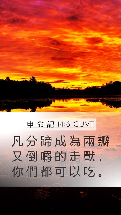 申 命 記 14:6 CUVT Mobile Phone Wallpaper - 凡 分 蹄 成 為 兩 瓣 又 倒 嚼 的 走 - Mobile Bible Verse Wallpaper