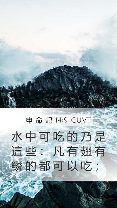 申 命 記 14:9 CUVT Mobile Phone Wallpaper - 水 中 可 吃 的 乃 是 這 些 ： 凡 有 - Mobile Bible Verse Wallpaper