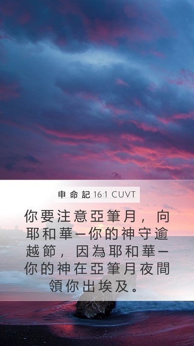 申 命 記 16:1 CUVT Bible Verse Image