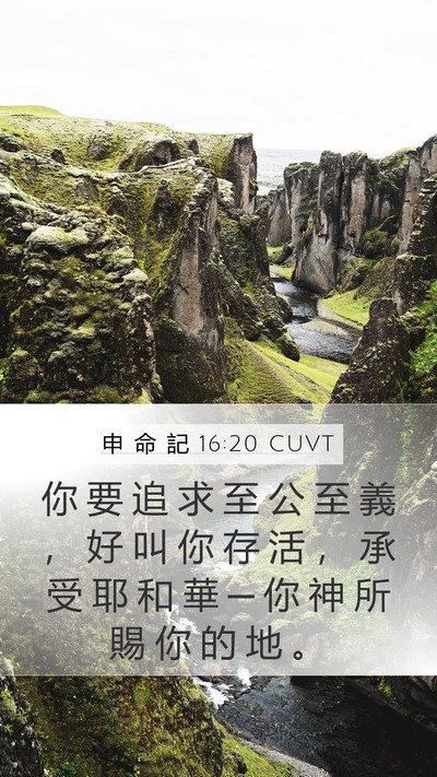 申 命 記 16:20 CUVT Mobile Phone Wallpaper - 你 要 追 求 至 公 至 義 ， 好 叫 你 - Mobile Bible Verse Wallpaper