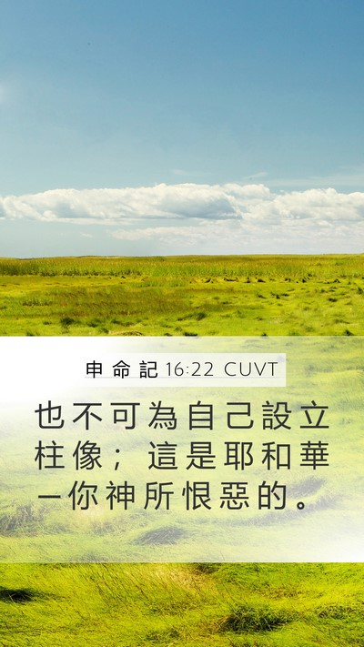 申 命 記 16:22 CUVT Mobile Phone Wallpaper - 也 不 可 為 自 己 設 立 柱 像 ； 這 - Mobile Bible Verse Wallpaper