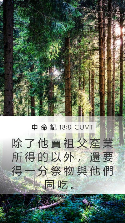 申 命 記 18:8 CUVT Mobile Phone Wallpaper - 除 了 他 賣 祖 父 產 業 所 得 的 以 - Mobile Bible Verse Wallpaper
