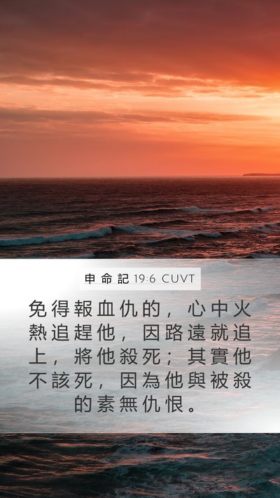 申 命 記 19:6 CUVT Bible Verse Image