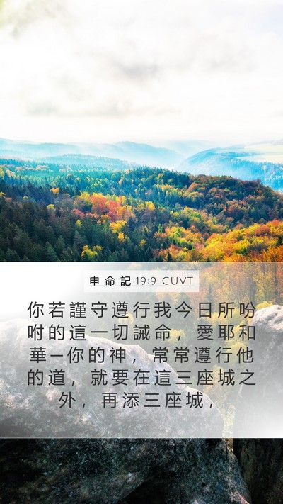 申 命 記 19:9 CUVT Mobile Phone Wallpaper - 你 若 謹 守 遵 行 我 今 日 所 吩 咐 - Mobile Bible Verse Wallpaper
