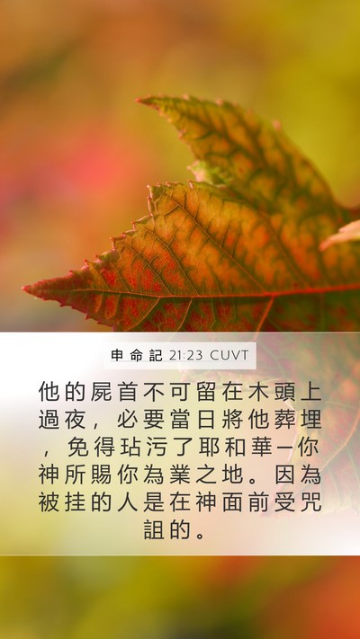 申 命 記 21:23 CUVT Bible Verse Image